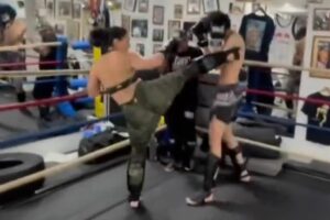 Drake’s BM Sophie: Fighting Skills Unleashed!